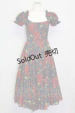 画像1: Selkie / Eden Garden Party Dress S 黒Ｘ赤 T-25-08-06-015-LO-OP-SA-ZI