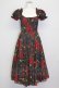 画像1: Selkie / Eden Garden Party Dress S 黒Ｘ赤 T-25-08-06-015-LO-OP-SA-ZT (1)