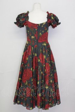 画像2: Selkie / Eden Garden Party Dress S 黒Ｘ赤 T-25-08-06-015-LO-OP-SA-ZT