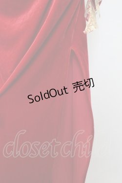 画像4: LACE MADE / 「スペイン野薔薇」コルセットドレス M ゴールドＸ赤 T-25-08-06-016-LO-OP-SA-ZI