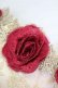 画像8: LACE MADE / 「スペイン野薔薇」コルセットドレス M ゴールドＸ赤 T-25-08-06-016-LO-OP-SA-ZT