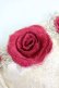 画像9: LACE MADE / 「スペイン野薔薇」コルセットドレス M ゴールドＸ赤 T-25-08-06-016-LO-OP-SA-ZT