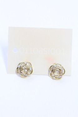画像1: LODISPOTTO / イヤリング   T-25-08-09-076-LO-AC-AS-ZT