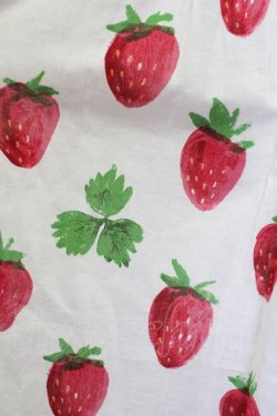 画像4: Jane Marple /Strawberry field　sheer dress - オフ T-25-08-10-016-JM-OP-ET-ZT349