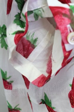 画像5: Jane Marple /Strawberry field　sheer dress - オフ T-25-08-10-016-JM-OP-ET-ZT349