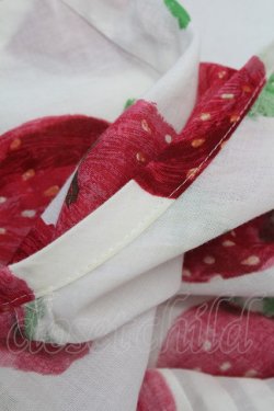 画像8: Jane Marple /Strawberry field　sheer dress - オフ T-25-08-10-016-JM-OP-ET-ZT349