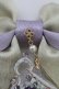 画像3: Enchantlic Enchantilly / すみれの茶器リボンブローチ  ラベンダーＸゴールド T-25-08-21-024-LO-AC-SA-ZT (3)