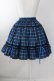 画像2: Moonrise Theater / Lyra Skirt  青チェック T-25-09-05-023-LO-SK-SA-ZI (2)