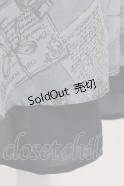 画像5: axes femme POETIQUE / プリュムプリントスカート  ブルー T-25-09-05-024-AX-SK-SA-ZI