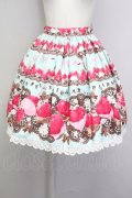 BABY,THE STARS SHINE BRIGHT / Creamy Berry Fairy Dreamスカート  ミント T-25-09-10-031-BA-SK-SA-ZT