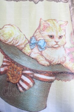 画像5: Enchantlic Enchantilly / キャトラリースカート  生成 T-25-09-10-032-LO-SK-SA-ZT