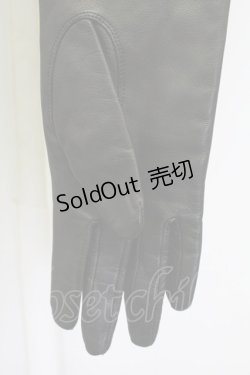 画像3: alice auaa / G/レザーロンググローブ  ブラック T-25-09-12-025-AA-ZA-SA-ZI