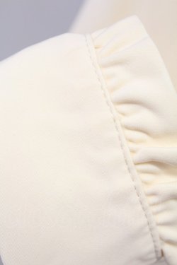 画像6: axes femme / バラ刺繍ラッフルフリルブラウス  アイボリー T-25-09-15-002-AX-BL-SA-ZI