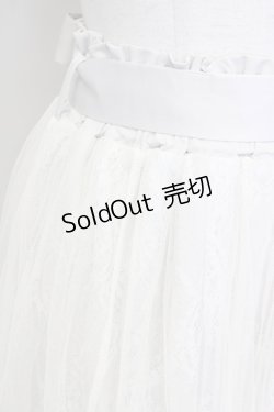 画像3: axes femme POETIQUE / レース×チュールロングスカート  アイボリー T-25-09-21-028-AX-SK-SA-ZI