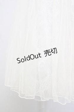 画像4: axes femme POETIQUE / レース×チュールロングスカート  アイボリー T-25-09-21-028-AX-SK-SA-ZI