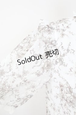 画像4: axes femme / ブーケ線画柄ドットドビーブラウス  白 T-25-09-21-012-AX-BL-SA-ZI