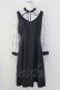 画像1: axes femme POETIQUE / レースデザインフレアワンピース  ネイビー T-25-09-27-013-AX-OP-SA-ZT (1)