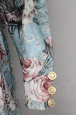 画像4: axes femme / 音楽と薔薇柄ドレス風ワンピース M グリーン T-25-10-10-026-AX-OP-SA-ZT135