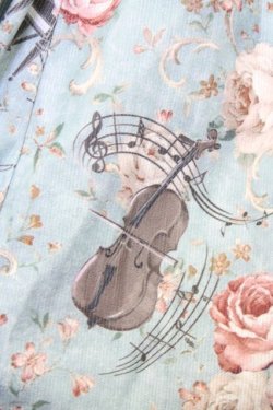 画像7: axes femme / 音楽と薔薇柄ドレス風ワンピース M グリーン T-25-10-10-026-AX-OP-SA-ZT135