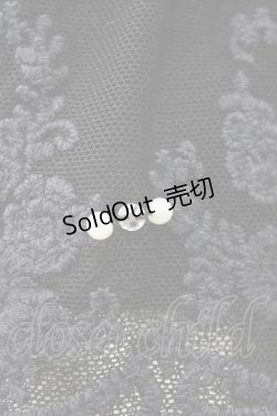 画像5: axes femme / オーガンジープチローズペチコート M ブラック T-25-10-10-045-AX-SK-SA-ZT048