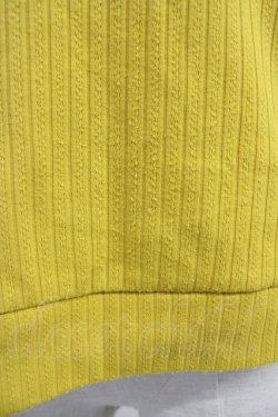 画像4: axes femme / チュール×ブーケ刺繍プルオーバー  イエロー T-25-10-19-009-AX-TO-SA-ZT