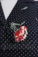 画像4: INGEBORG / カーネーションドットプリント半袖ワンピース  ネイビーX赤X緑 T-25-10-30-033-LO-OP-SA-ZT (4)