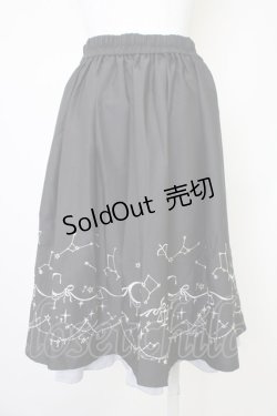 画像2: axes femme POETIQUE / 星座刺繍ビットデザインスカート  黒 T-25-10-30-040-AX-SK-SA-ZI