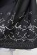 画像3: axes femme POETIQUE / 星座刺繍ビットデザインスカート  黒 T-25-10-30-040-AX-SK-SA-ZT (3)
