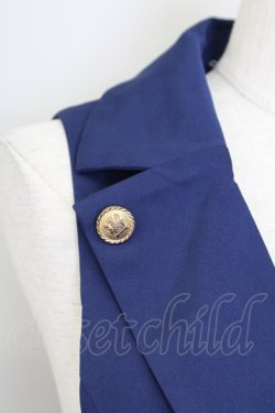 画像3: Amavel / Historical Butlerベスト  青 T-25-11-06-025-CA-JA-SA-ZT