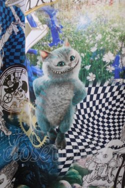 画像4: PINK HOUSE CHELSEA / アリスインワンダーランドコラボスカート 2(S) ブルー T-25-11-09-046-EL-SK-SA-ZT