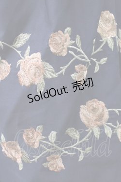 画像3: axes femme / ばら刺繍フレアスカート M 紺 T-25-11-09-053-AX-SK-SA-ZT