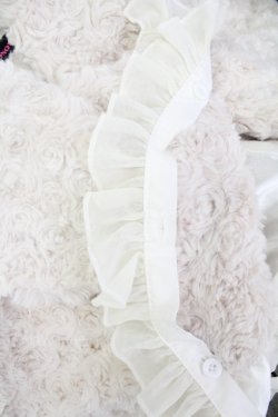 画像3: ALGONQUINS / ボアシフォンフリルケープ  アイボリー T-25-11-23-029-AL-JA-SA-ZT