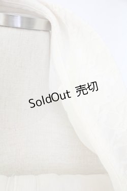 画像3: axes femme / レーススリーブブラウス  アイボリー T-25-11-28-003-AX-BL-SA-ZT