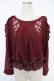 画像1: axes femme POETIQUE / 肩あきバラ刺繍トップス  ボルドー T-25-12-03-016-AX-TO-SA-ZT (1)