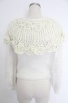 画像2: axes femme POETIQUE / 鈎針編み襟デザインニットプルオーバー  アイボリー T-25-12-03-003-AX-TO-SA-ZI (2)