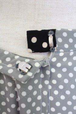 画像3: INGEBORG / ドット柄プリーツスカート  グレー T-25-12-07-027-LO-SK-OW-ZT