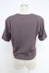 画像2: KANEKO ISAO / ローズブーケptTシャツ  パープル T-25-12-10-008-EL-TO-OW-ZT (2)