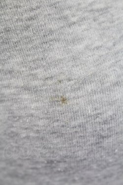 画像8: L`EST ROSE / トップス   T-25-12-14-003-0-TO-SA-ZT