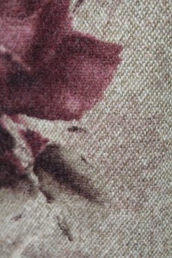 画像3: L`EST ROSE / スカート   T-25-12-14-033-0-SK-SA-ZT