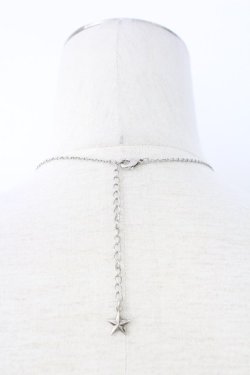 画像3: axes femme / 羽根モチーフネックレス  シルバー T-25-12-21-040-AX-AC-SA-ZT