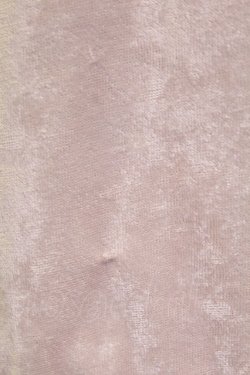 画像5: L`EST ROSE / トップス   T-25-12-21-004-0-TO-SA-ZT