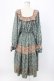 画像2: axes femme NOSTALGIE / 小花切替裾刺繍ワンピース M グリーン T-25-12-22-022-AX-OP-SA-ZT (2)
