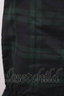 画像5: SUPER LOVERS / タータンチェックサロペット  グリーンＸ黒 T-25-12-22-038-PU-OP-SA-ZT