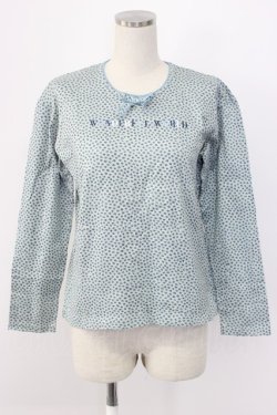 画像1: WONDERFUL WORLD / スミレ小花総柄カットソー  ブルー T-25-12-22-012-LO-TO-SA-ZT
