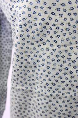 画像4: WONDERFUL WORLD / スミレ小花総柄カットソー  ブルー T-25-12-22-012-LO-TO-SA-ZT