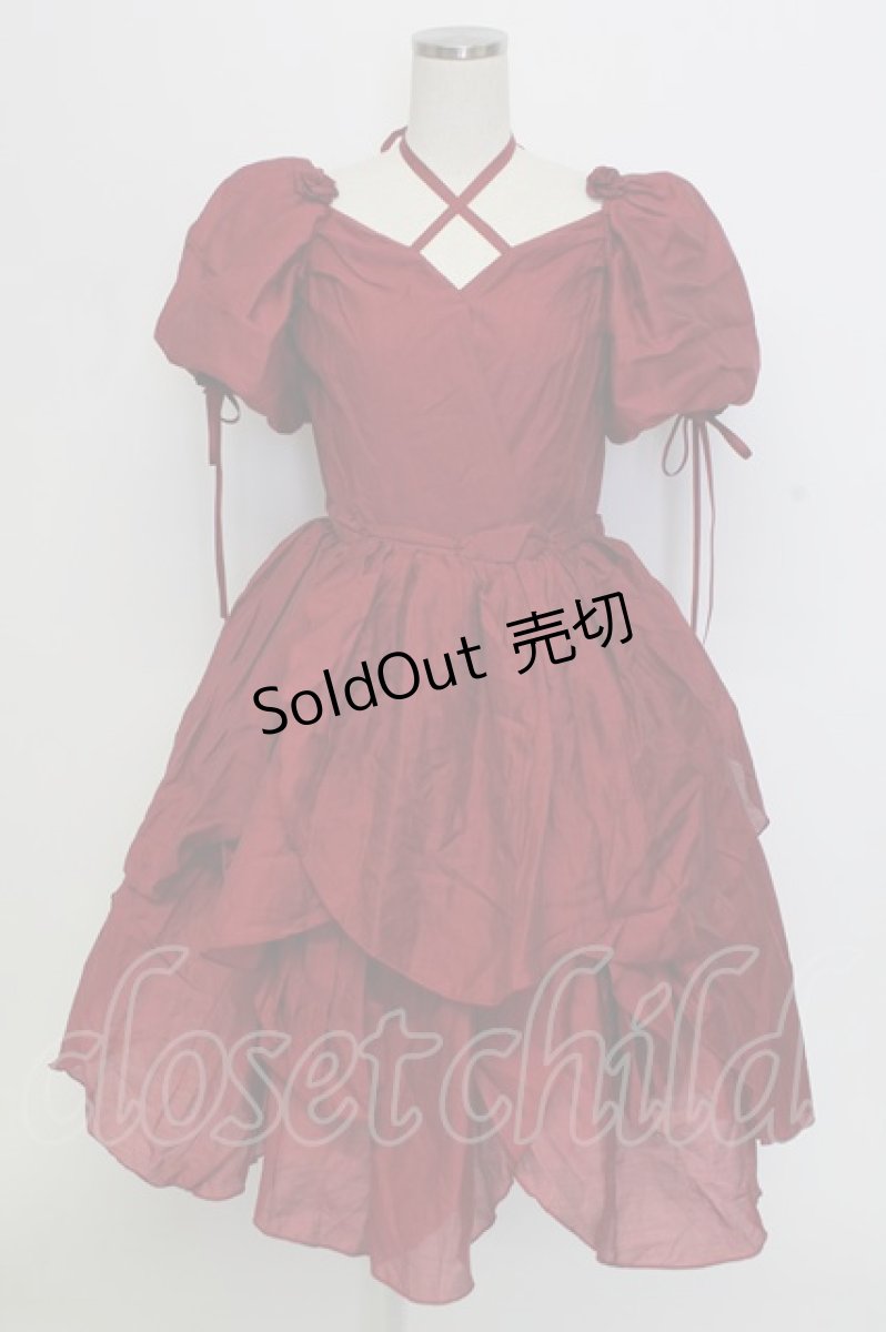 画像1: Bramble Rose / フラワーモチーフラメオーガンジー半袖ワンピース  ボルドー T-25-12-31-014-0-OP-SA-ZT353 (1)