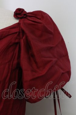 画像5: Bramble Rose / フラワーモチーフラメオーガンジー半袖ワンピース  ボルドー T-25-12-31-014-0-OP-SA-ZT