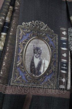 画像5: Avenue Denfer / 本棚ジャンパースカート S ブラウン T-25-12-31-015-LO-OP-SA-ZT