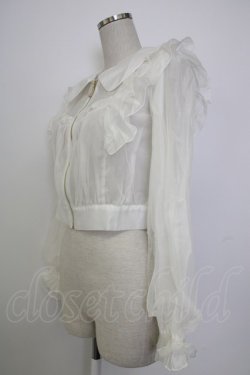 画像6: axes femme POETIQUE / シアー×チュールブルゾン M ホワイト T-26-01-26-002-AX-TO-SA-ZT561