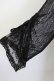 画像5: axes femme / リュクスレースガウン  ブラック T-26-01-27-003-AX-TO-SA-ZT (5)